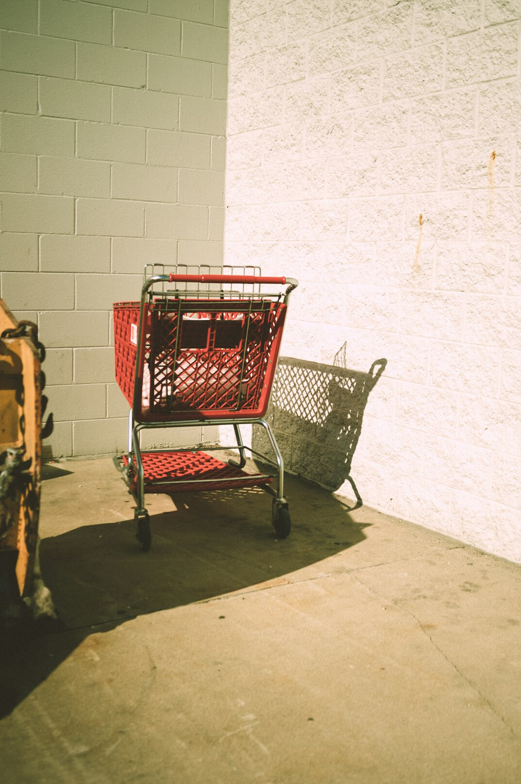 shoplifter caught red handed